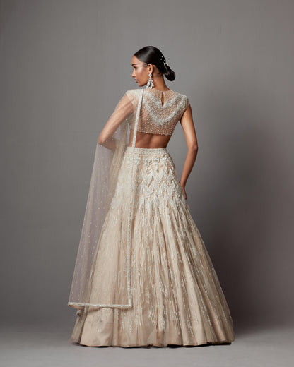 Greige Net Handwork Lehenga Set