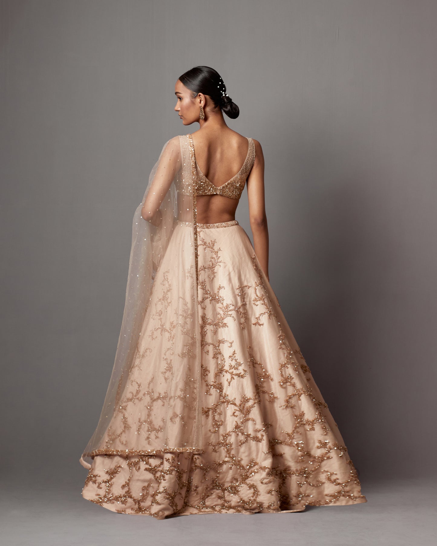 Beige Net Hand Embroidered Lehenga Set