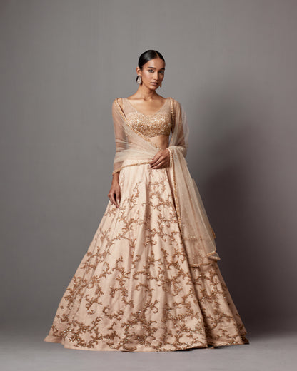 Beige Net Hand Embroidered Lehenga Set