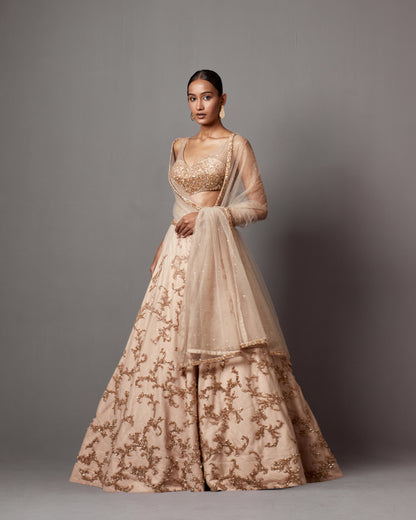 Beige Net Hand Embroidered Lehenga Set