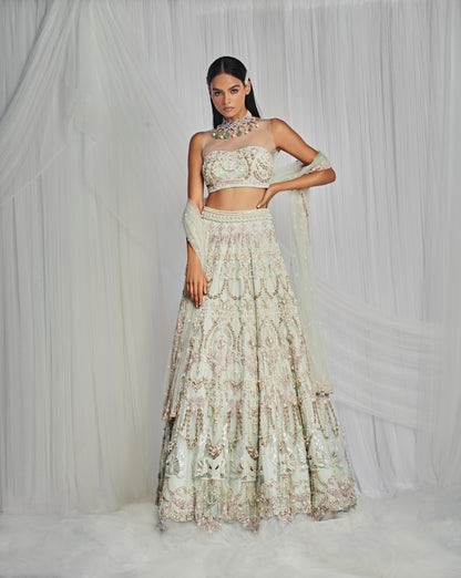 Royal Swan Embroidered Lehenga Set