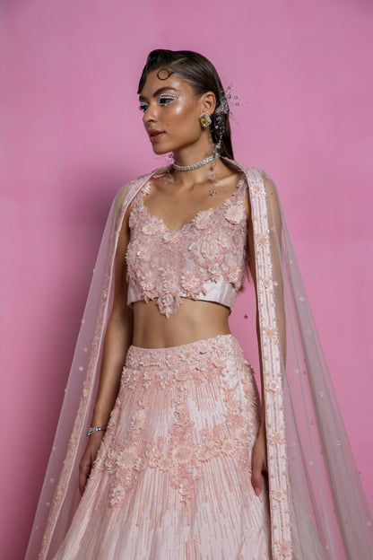 Powder Pink Embroidered Lehenga Set