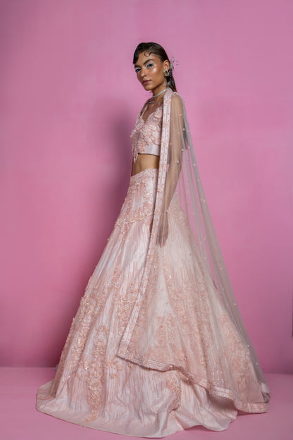 Powder Pink Embroidered Lehenga Set